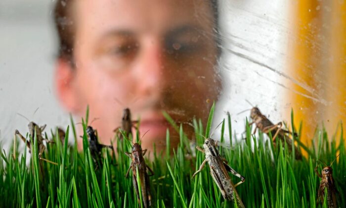 gettyimages-1227885317-700x420