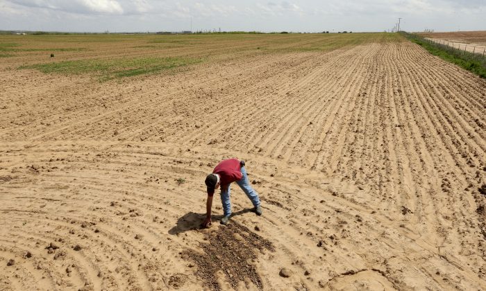 salting-the-earth_chas-2-700x420