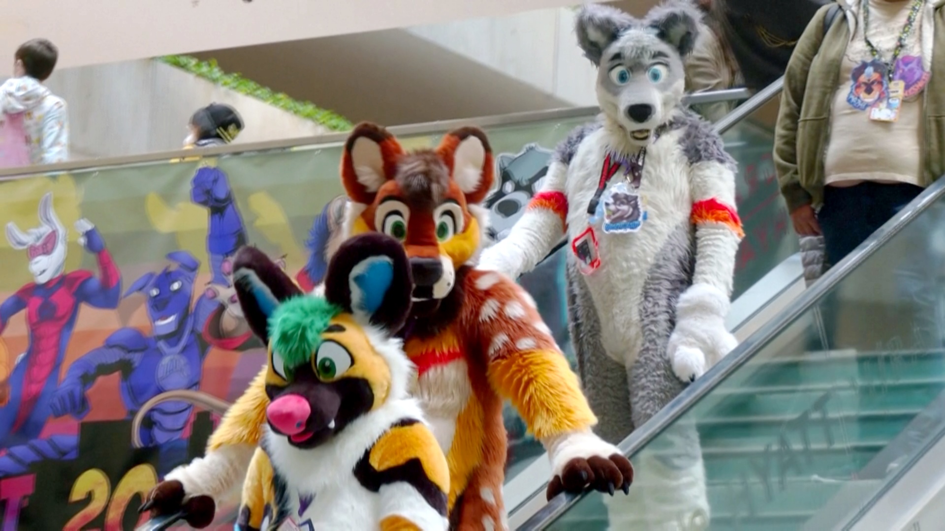 22_12_05_chicago-furfest