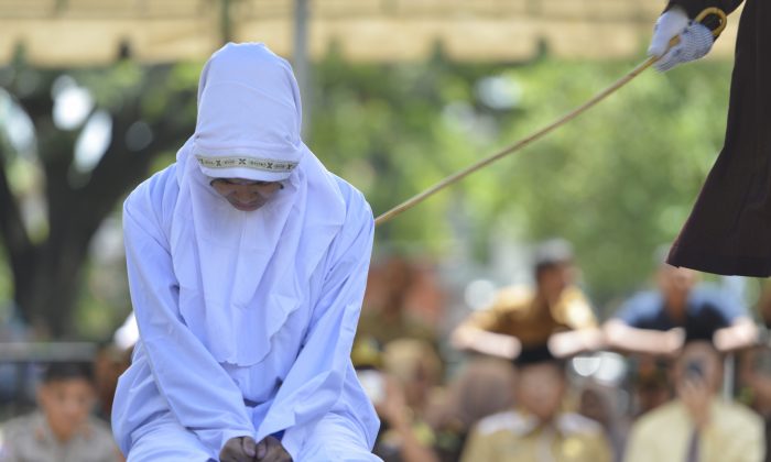 c3151389-0043-408f-b0f9-52c69ae79948