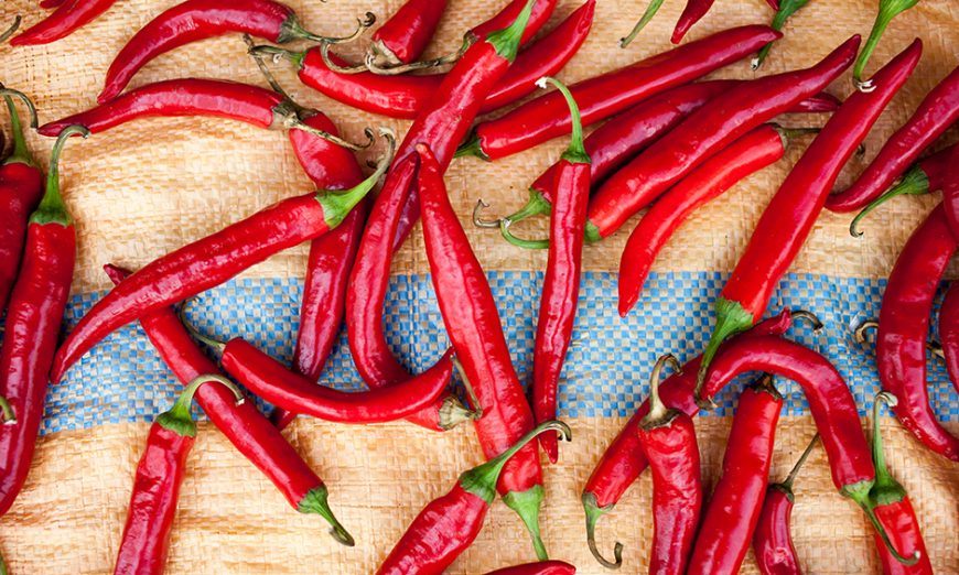 c10b8f63-962e-4c3e-b6cf-703358482b14