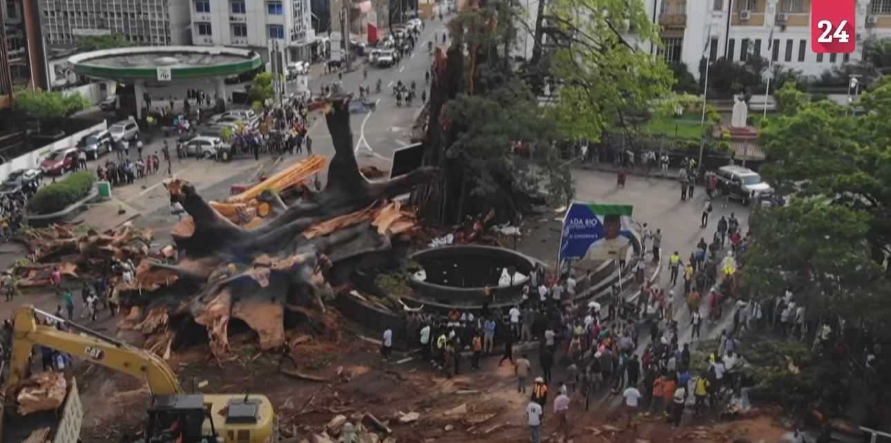 65645c3e-3f57-4987-aaef-93f221ada5de