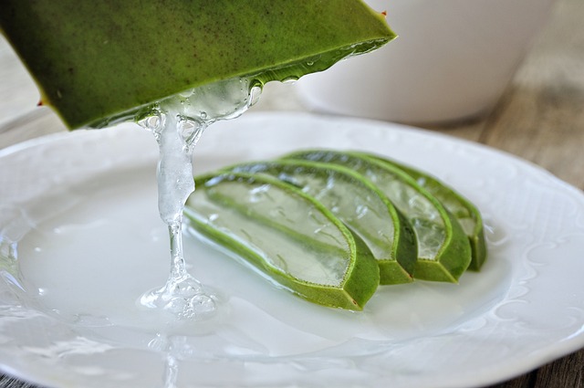 aloe-4529704_640