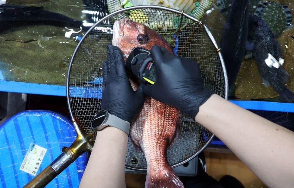 Гонконг планує широкомасштабну заборону японських морепродуктів (ВІДЕО)