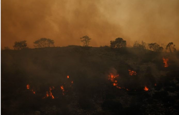 2a2dc648-ddd1-4e76-a7dc-91ede2bf1267