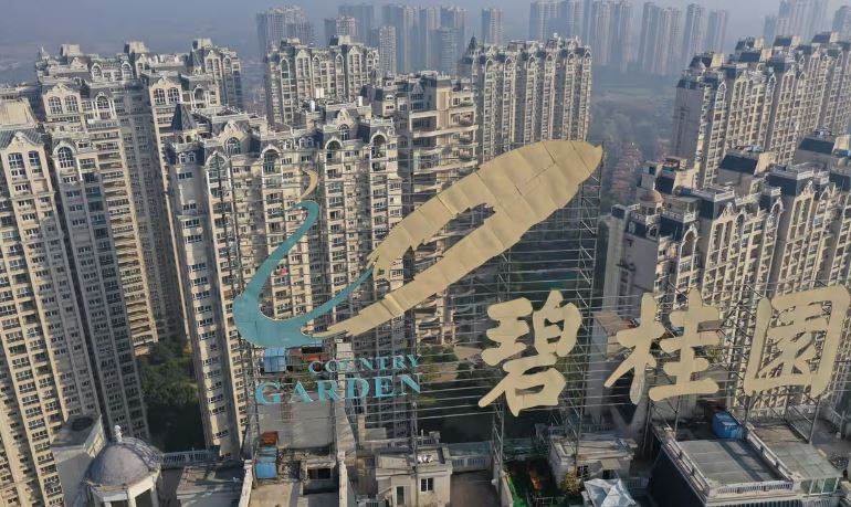 519a5f2f-1632-499d-b310-c45e11df3320