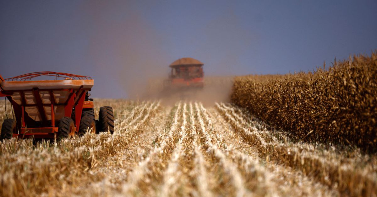 7854fce9-5f08-49d8-8ebb-f1449970f24a