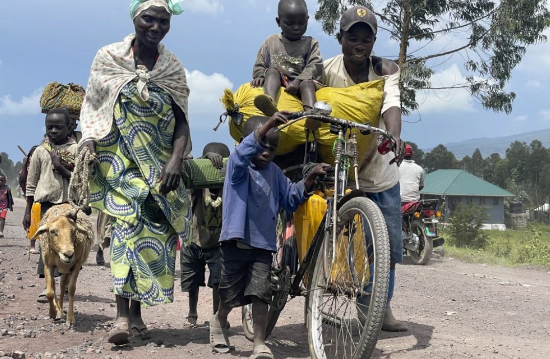 7d925bd8-066f-40d4-b7f9-8b3b7bcb4d62