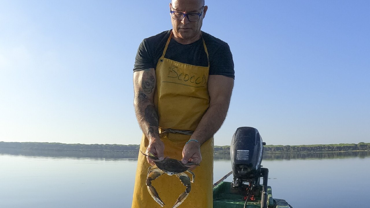 8df3f193-b940-436e-81e9-bb568817c8a6