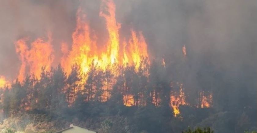 e421c145-91fa-45fc-9559-a9ad20b0c472