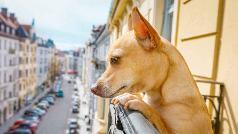 istock-9486233061-795x447