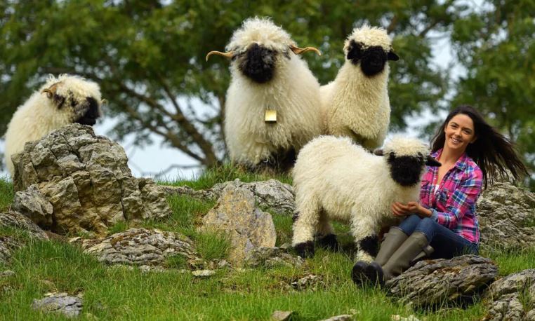 43941f7a-fbc7-4e71-8971-c9cbe3f3f176