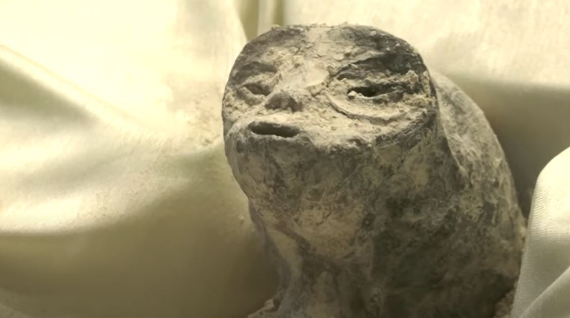 76f7ae52-42a4-49d2-b106-ab664e852693