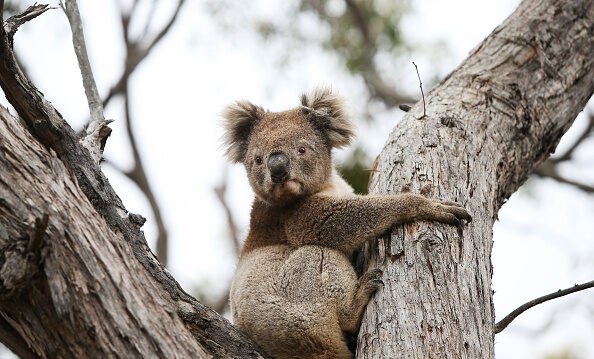 def07457-7974-499f-be7b-441365e88552