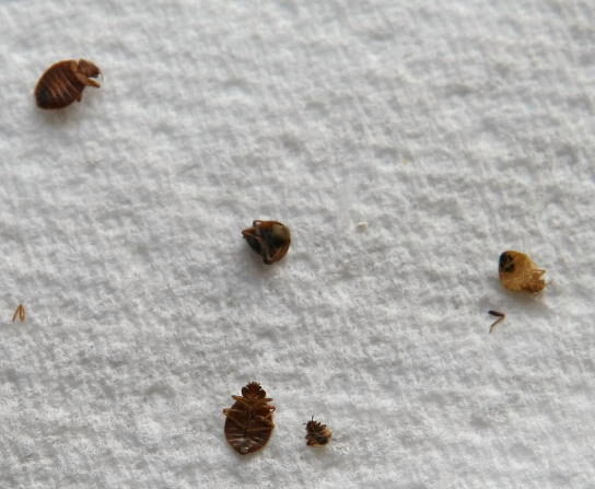 177bf2d0-947b-42bd-84e8-184b14462b48