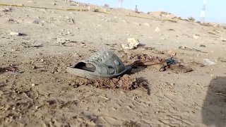 929e4ade-94ab-489e-ac85-7156f482098e