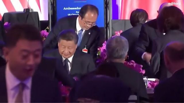 29519c03-beec-4ca3-8dd2-33ad87770c5a