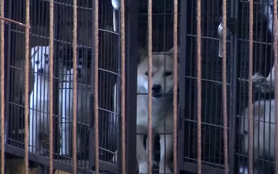 86376632-0a89-4f5c-9c55-6001fc9337a6