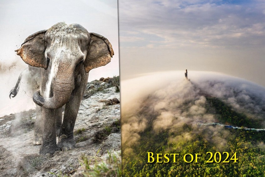 1_id5584443_001785_4485_trantuanviet_vietnam_nationalawards_2024