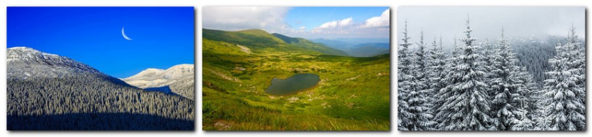 Закарпаття
