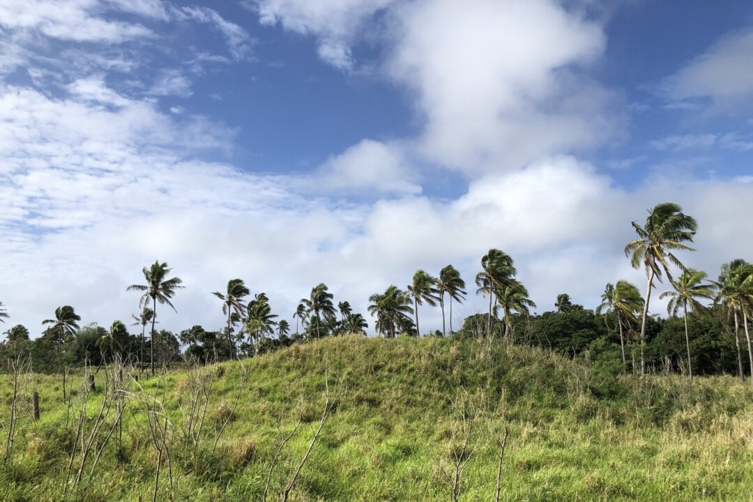 5d169099-45d7-4892-ba4d-8c20031dc254