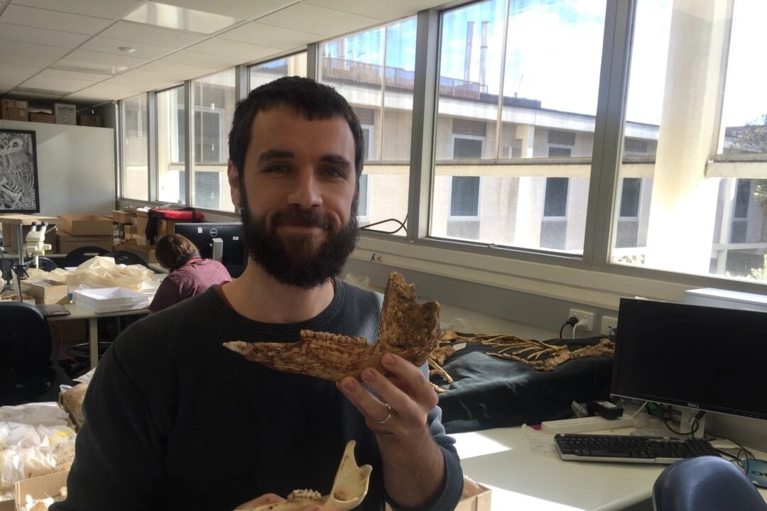 id5639485_isaac_with_protemnodon_viator_and_osphranter_rufus_jaws2