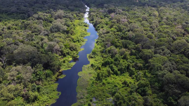 istockphoto-1398857627-640x640