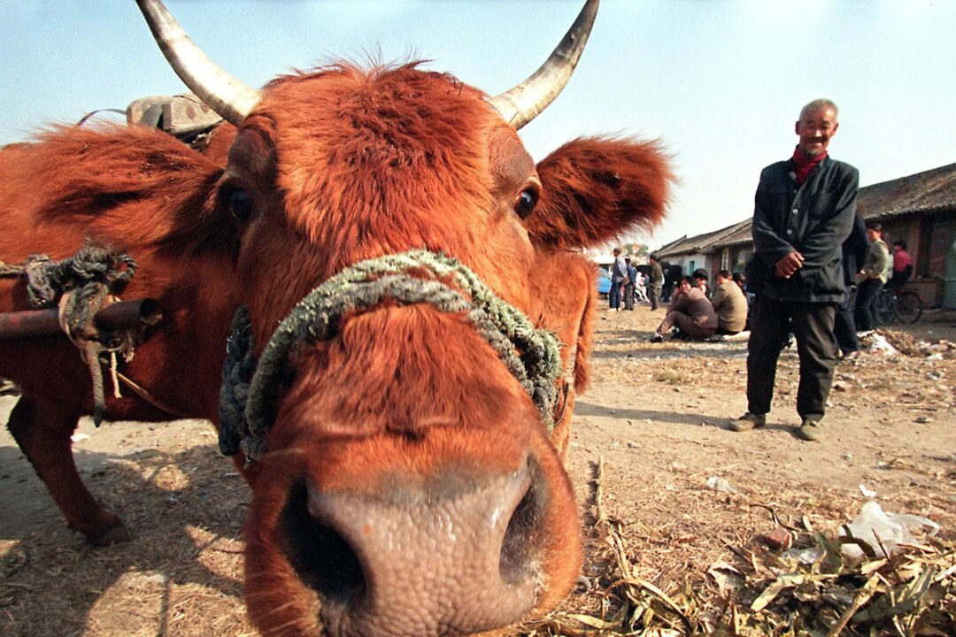 84fd2e75-35a4-41bd-aa6f-12fe407c2b6e